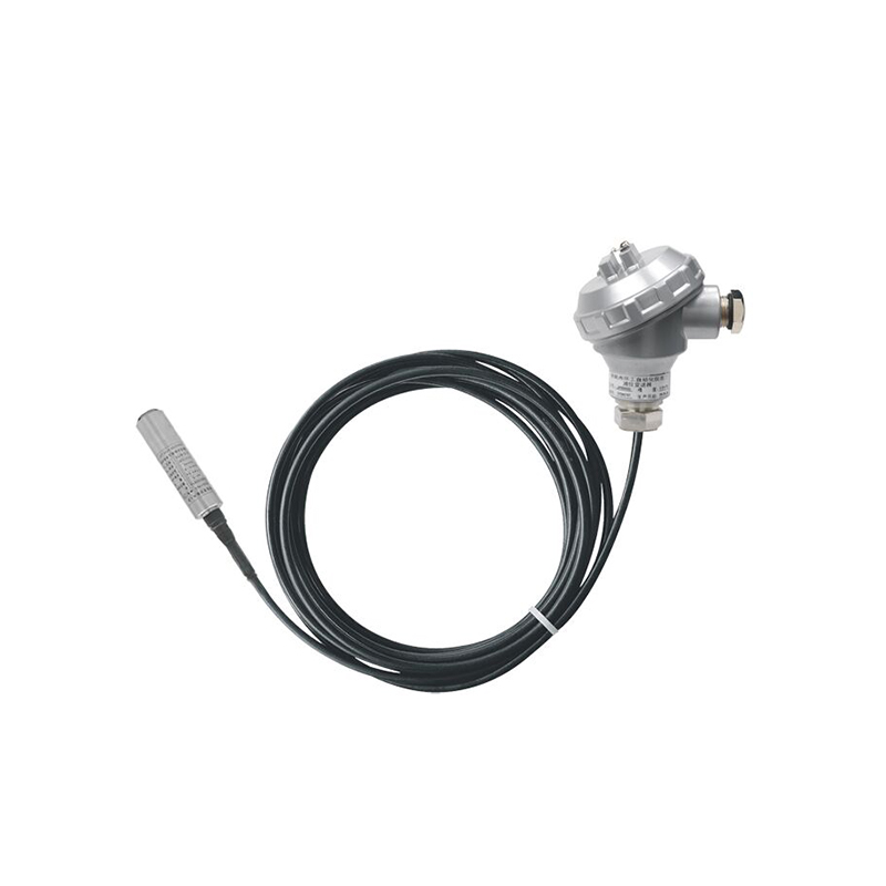 Transmetteur de niveau submersible PB8600