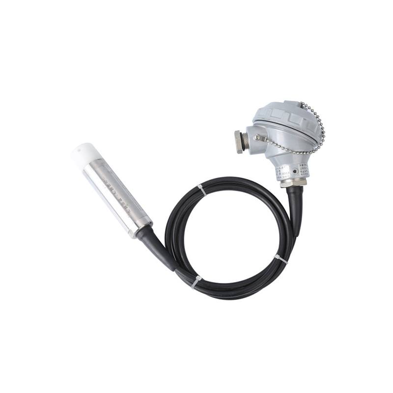 Transmetteur de niveau submersible PB8600
