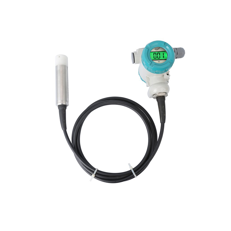 Transmetteur de niveau submersible PB8600